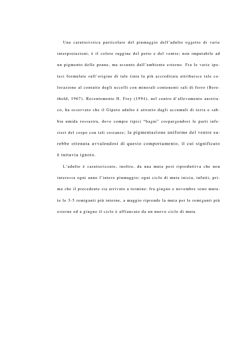 Anteprima della tesi: La reintroduzione del gipeto (Gypaetus Barbatus) sulle Alpi. Analisi del comportamento al nido e dopo l'involo, Pagina 5
