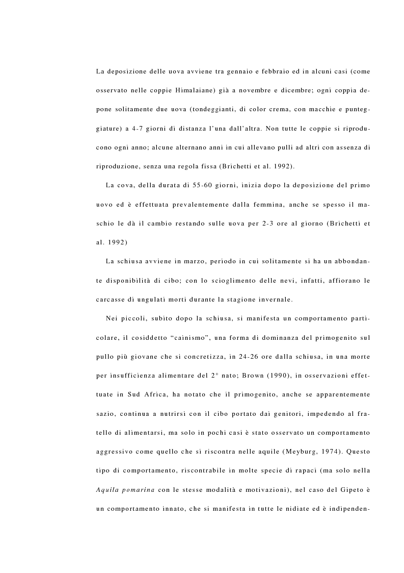Anteprima della tesi: La reintroduzione del gipeto (Gypaetus Barbatus) sulle Alpi. Analisi del comportamento al nido e dopo l'involo, Pagina 9