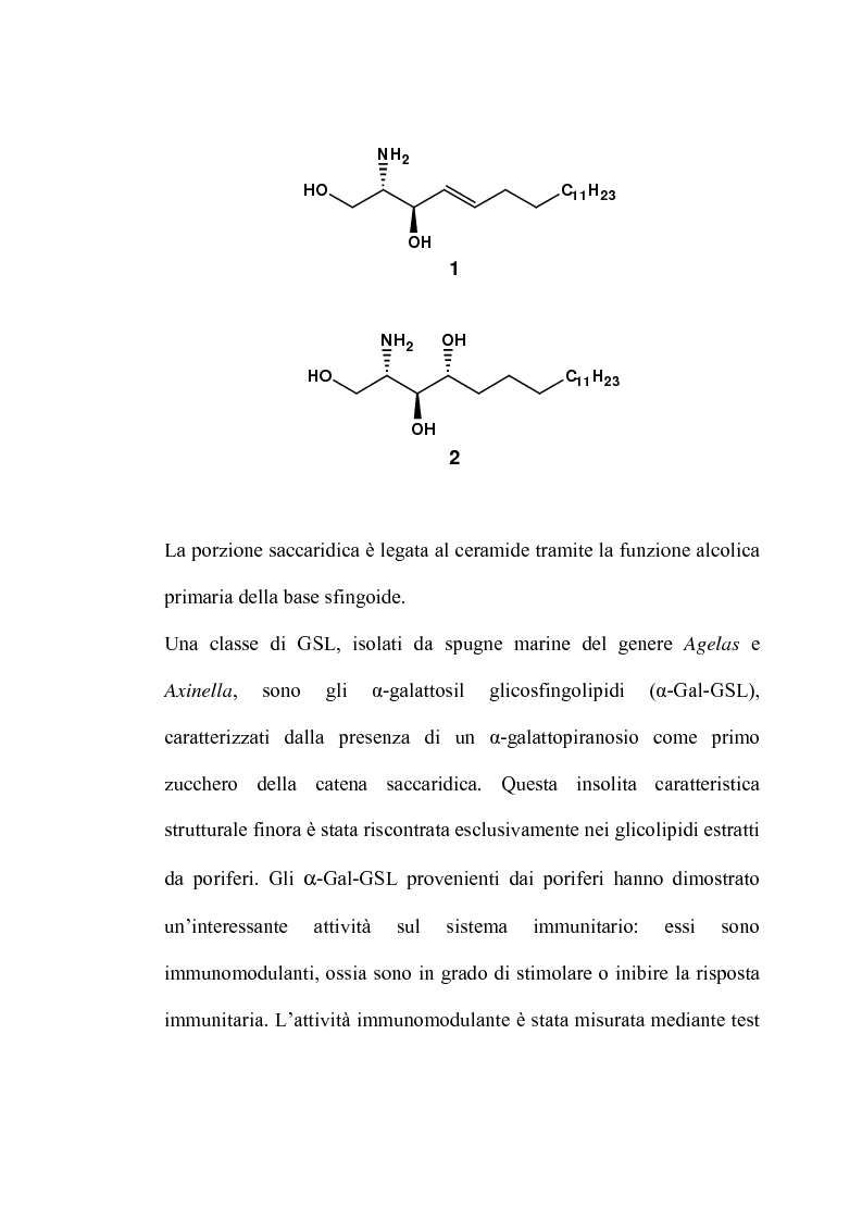 Anteprima della tesi: Glicosfingolipidi immunomodulanti: sintesi stereoselettiva di analoghi dell'agelasfina, Pagina 3