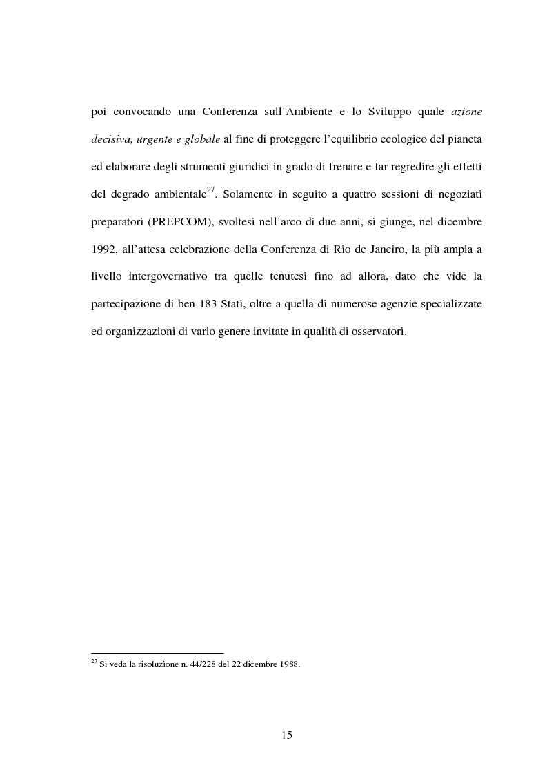 Anteprima della tesi: Le Convenzioni di Rio ed il Protocollo di Kyoto: sinergie e questioni di compatibilità, Pagina 15