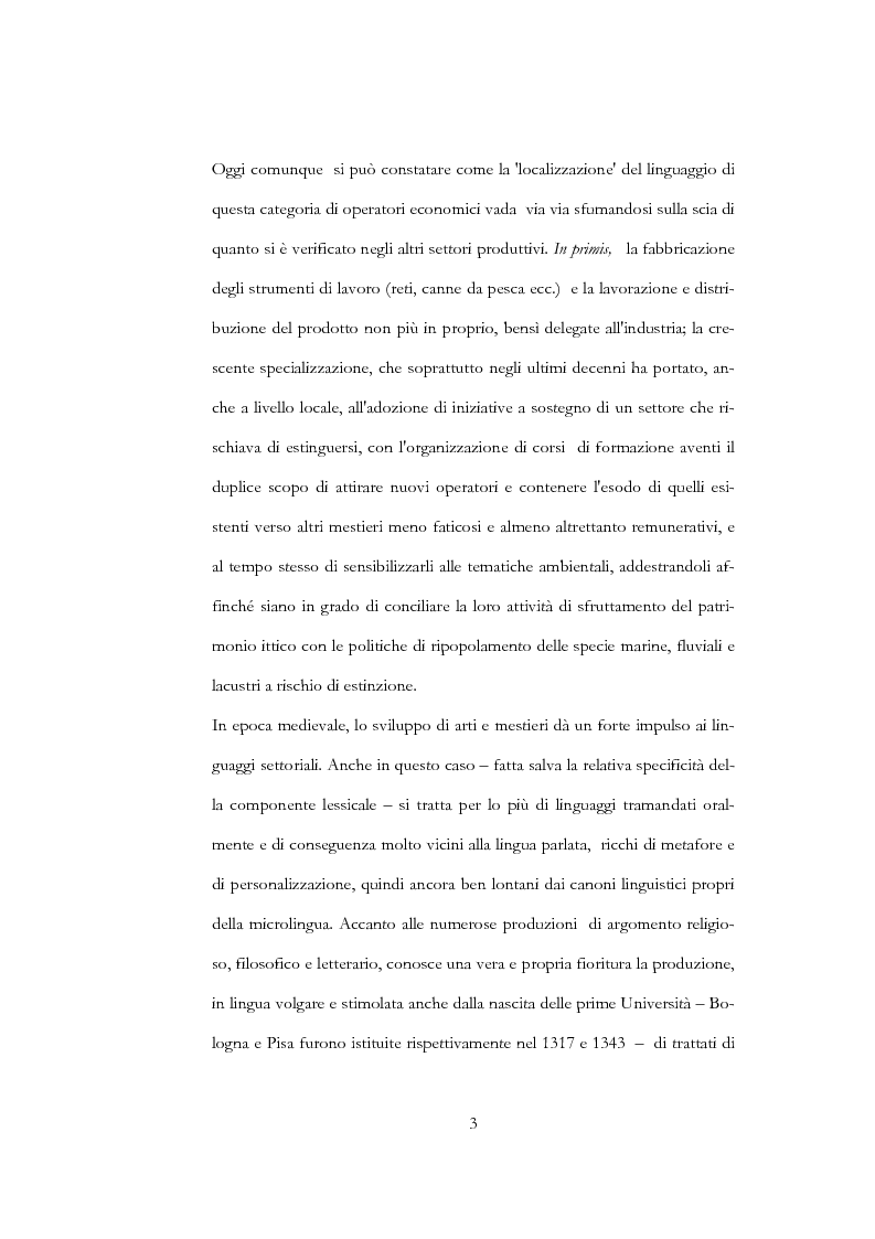 Anteprima della tesi: La funzione delle microlingue alle soglie del terzo millennio, Pagina 3
