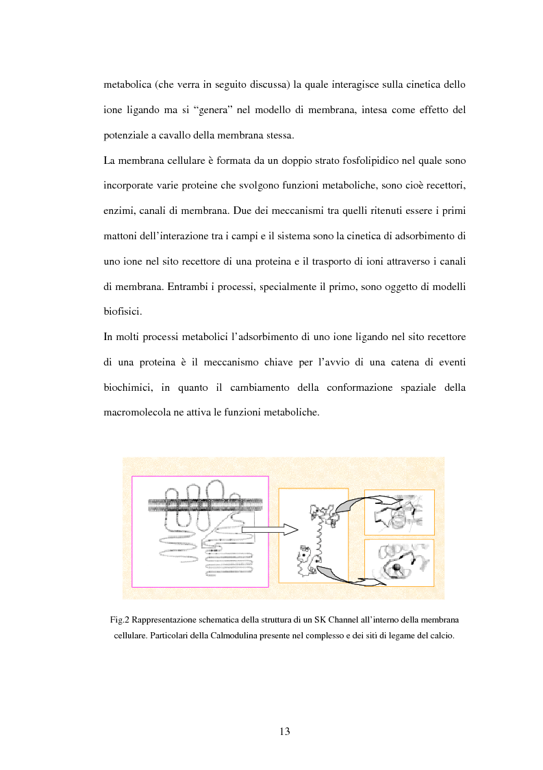 Anteprima della tesi: Modelli a risonanza parametrica dell'interazione bioelettromagnetica, Pagina 7