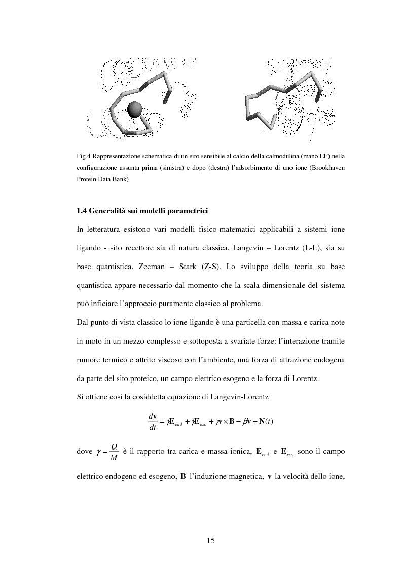 Anteprima della tesi: Modelli a risonanza parametrica dell'interazione bioelettromagnetica, Pagina 9