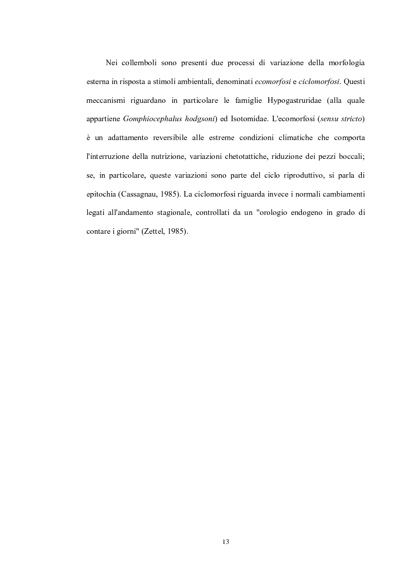 Anteprima della tesi: Variabilità e differenziazione genetica nella specie antartica Gomphiocephalus hodgsoni (Hexapoda, Collembola, Hypogastruridae), Pagina 10