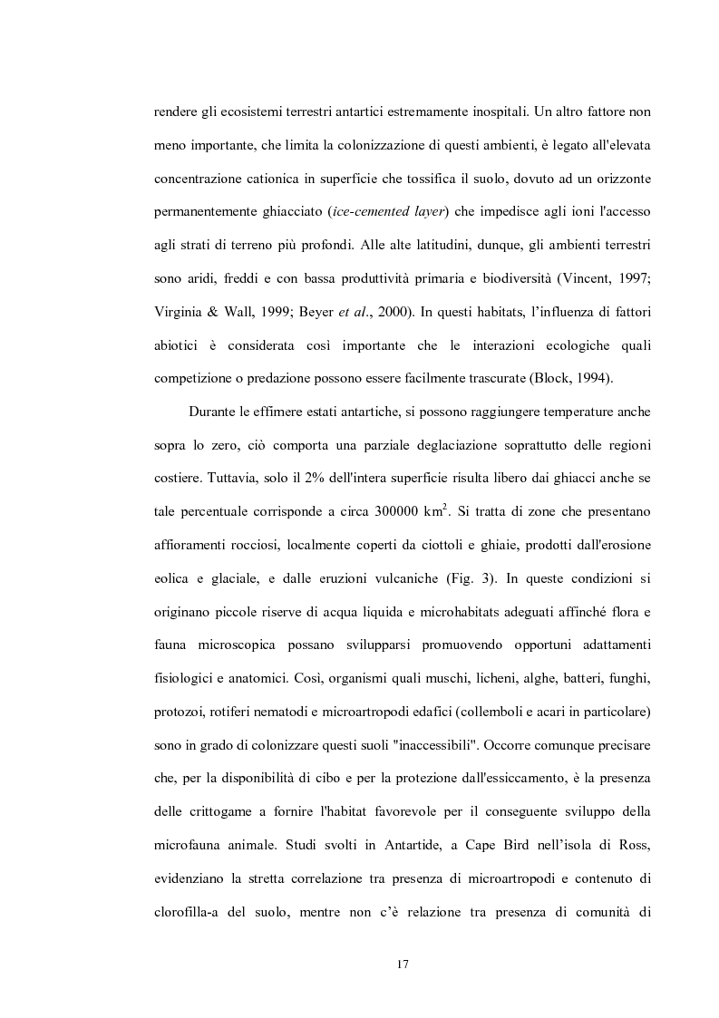 Anteprima della tesi: Variabilità e differenziazione genetica nella specie antartica Gomphiocephalus hodgsoni (Hexapoda, Collembola, Hypogastruridae), Pagina 14
