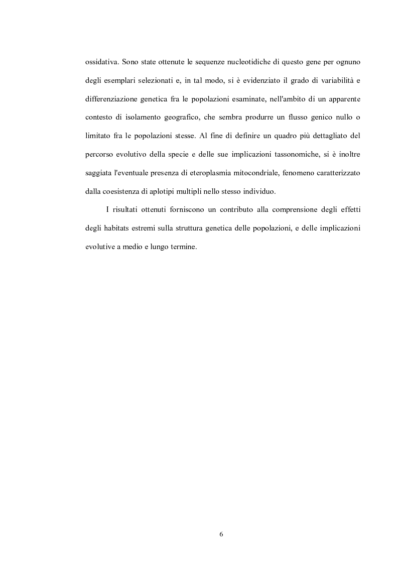 Anteprima della tesi: Variabilità e differenziazione genetica nella specie antartica Gomphiocephalus hodgsoni (Hexapoda, Collembola, Hypogastruridae), Pagina 3