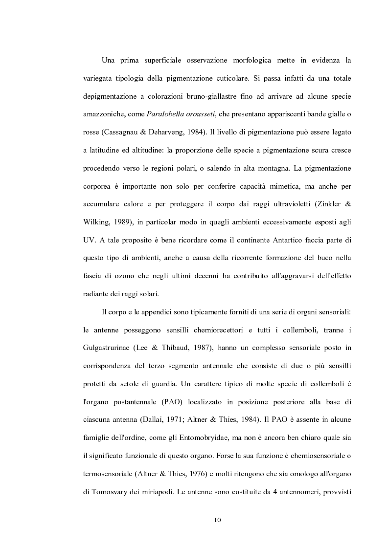 Anteprima della tesi: Variabilità e differenziazione genetica nella specie antartica Gomphiocephalus hodgsoni (Hexapoda, Collembola, Hypogastruridae), Pagina 7