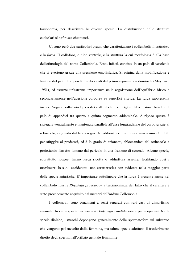 Anteprima della tesi: Variabilità e differenziazione genetica nella specie antartica Gomphiocephalus hodgsoni (Hexapoda, Collembola, Hypogastruridae), Pagina 9