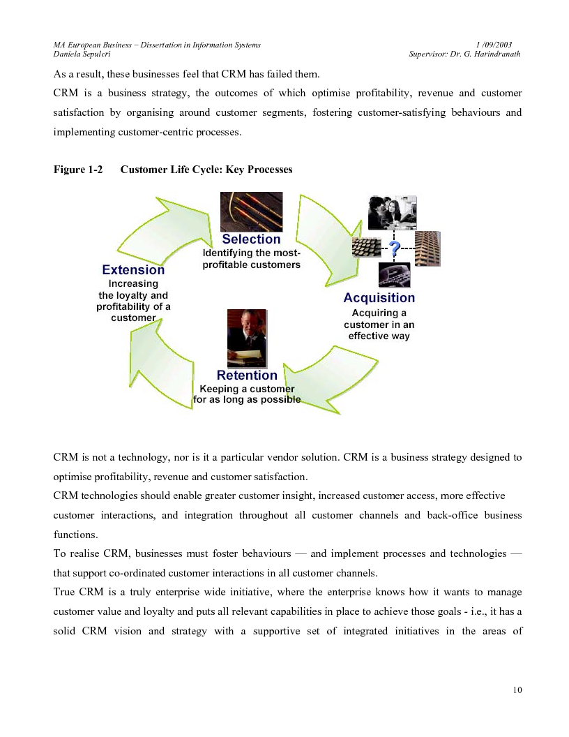 Anteprima della tesi: The Customer Relationship Management (CRM) Software Market in Italy. Key Trends and Dynamics., Pagina 7