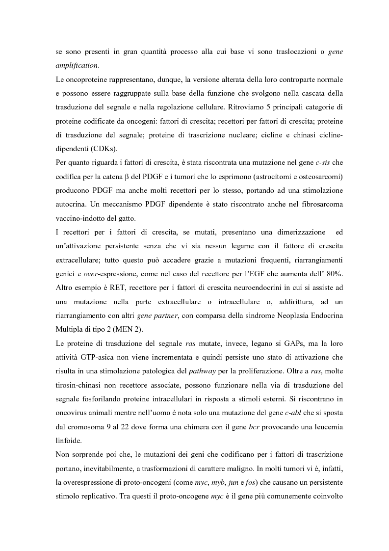 Anteprima della tesi: Parziale caratterizzazione del gene men1 nel gatto, Pagina 5