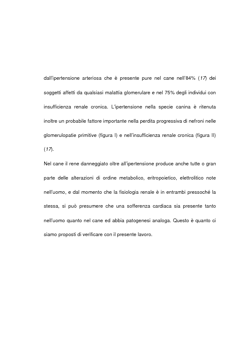 Anteprima della tesi: Studio nosografico dell'impegno cardiaco nelle malattie renali del cane, Pagina 2