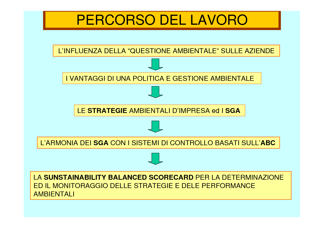 Anteprima della tesi: La revisione gestionale nella misurazione delle performance ambientali d'impresa: la ''Sunstainability Balanced Scorecard'', Pagina 2