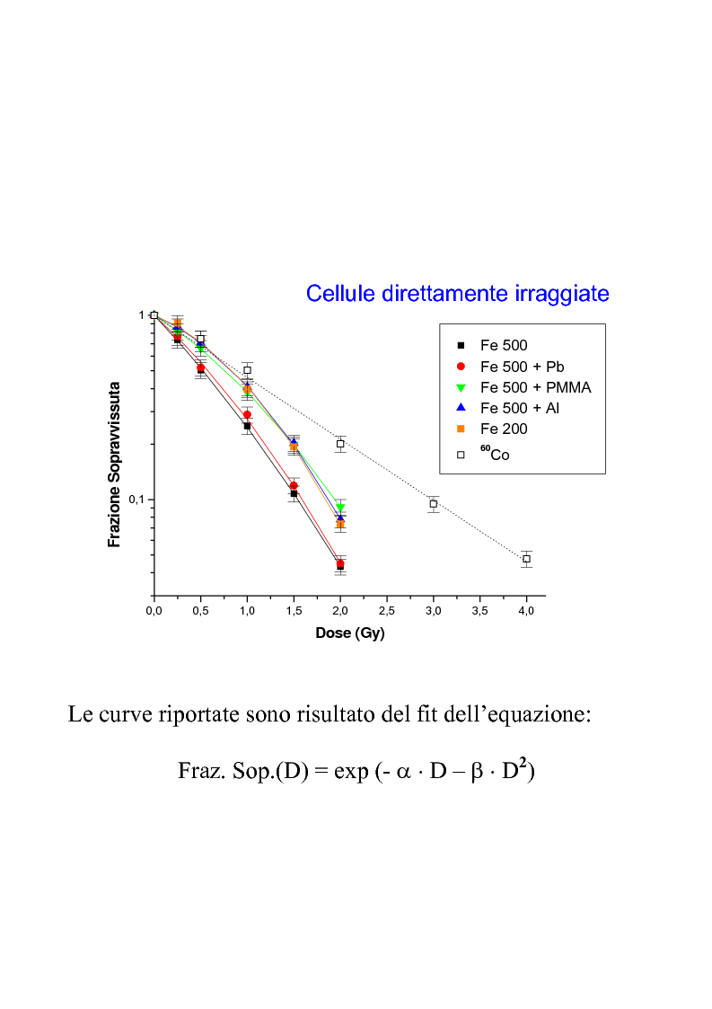 Anteprima della tesi: Efficacia biologica della radiazione spaziale in presenza di schermature, Pagina 7