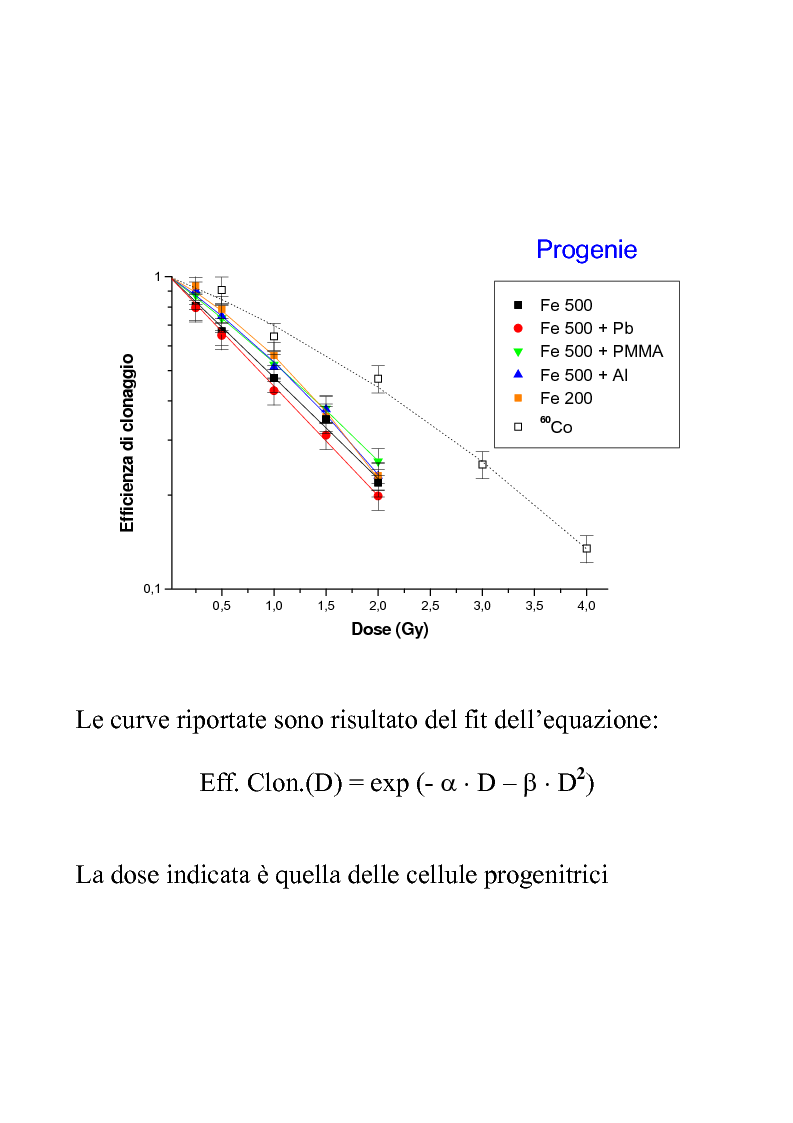 Anteprima della tesi: Efficacia biologica della radiazione spaziale in presenza di schermature, Pagina 9