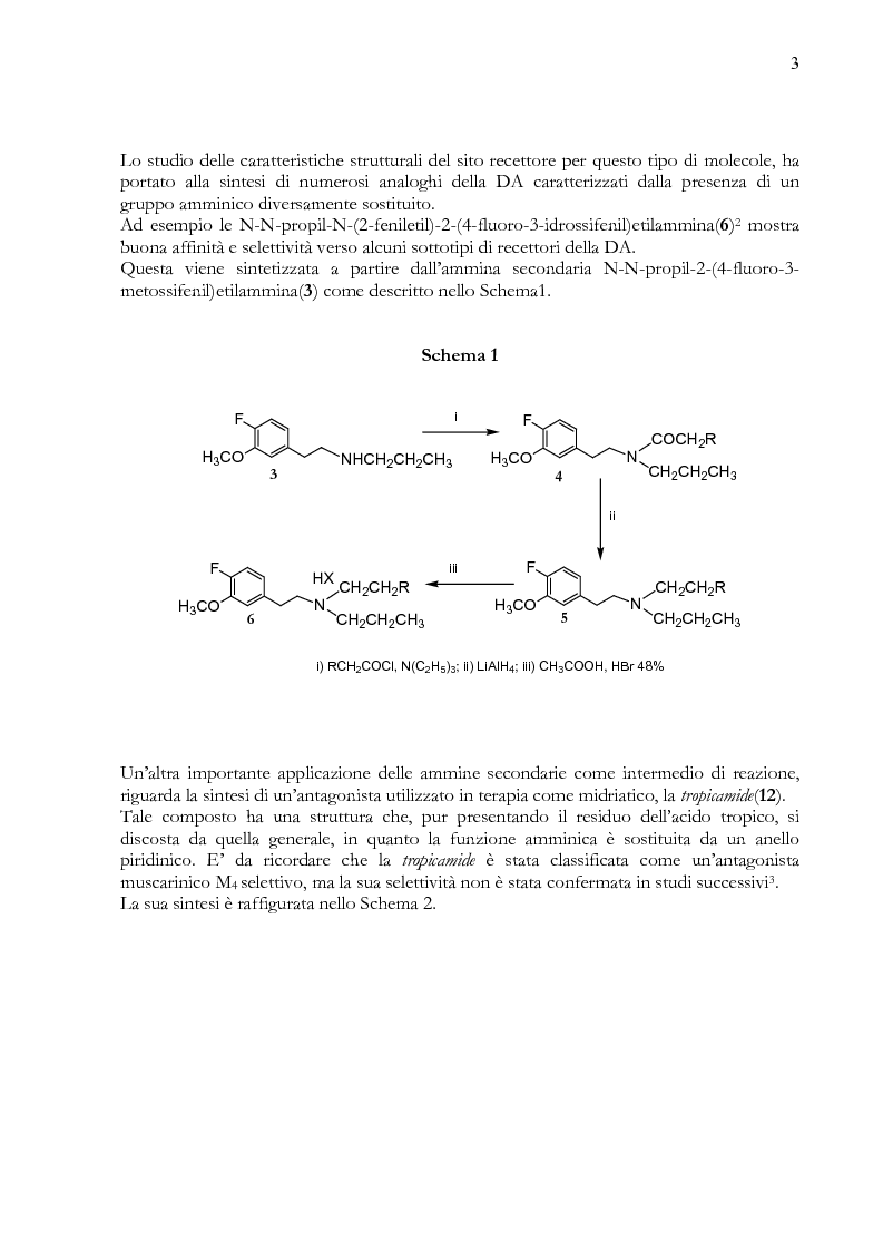 Anteprima della tesi: Sintesi di ammine secondarie per riduzione di a-ammidoalchilfenil solfoni con idruri metallici, Pagina 2