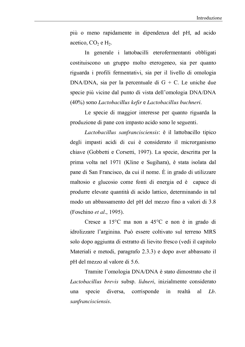 Anteprima della tesi: Selezione di fermenti lattici autoctoni per la panificazione, Pagina 10