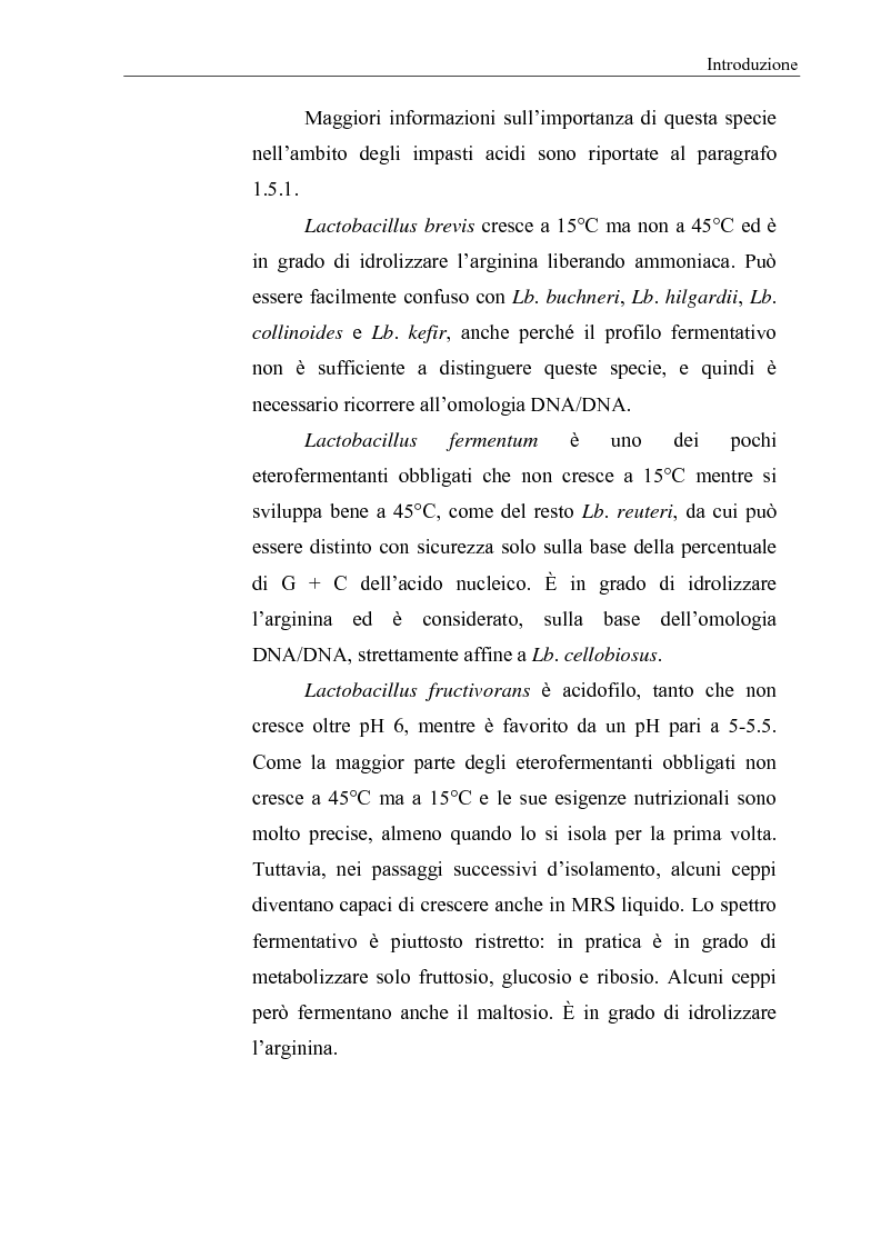 Anteprima della tesi: Selezione di fermenti lattici autoctoni per la panificazione, Pagina 11
