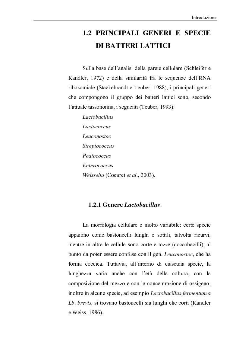 Anteprima della tesi: Selezione di fermenti lattici autoctoni per la panificazione, Pagina 3