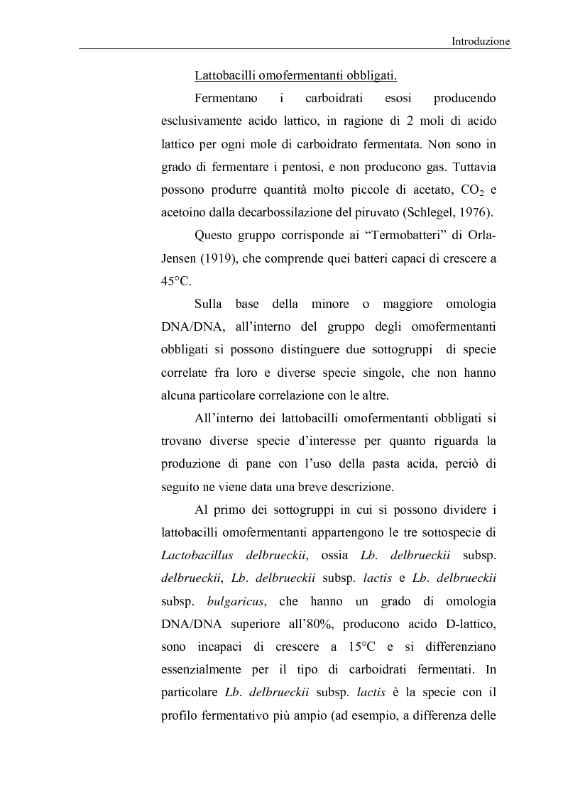Anteprima della tesi: Selezione di fermenti lattici autoctoni per la panificazione, Pagina 5