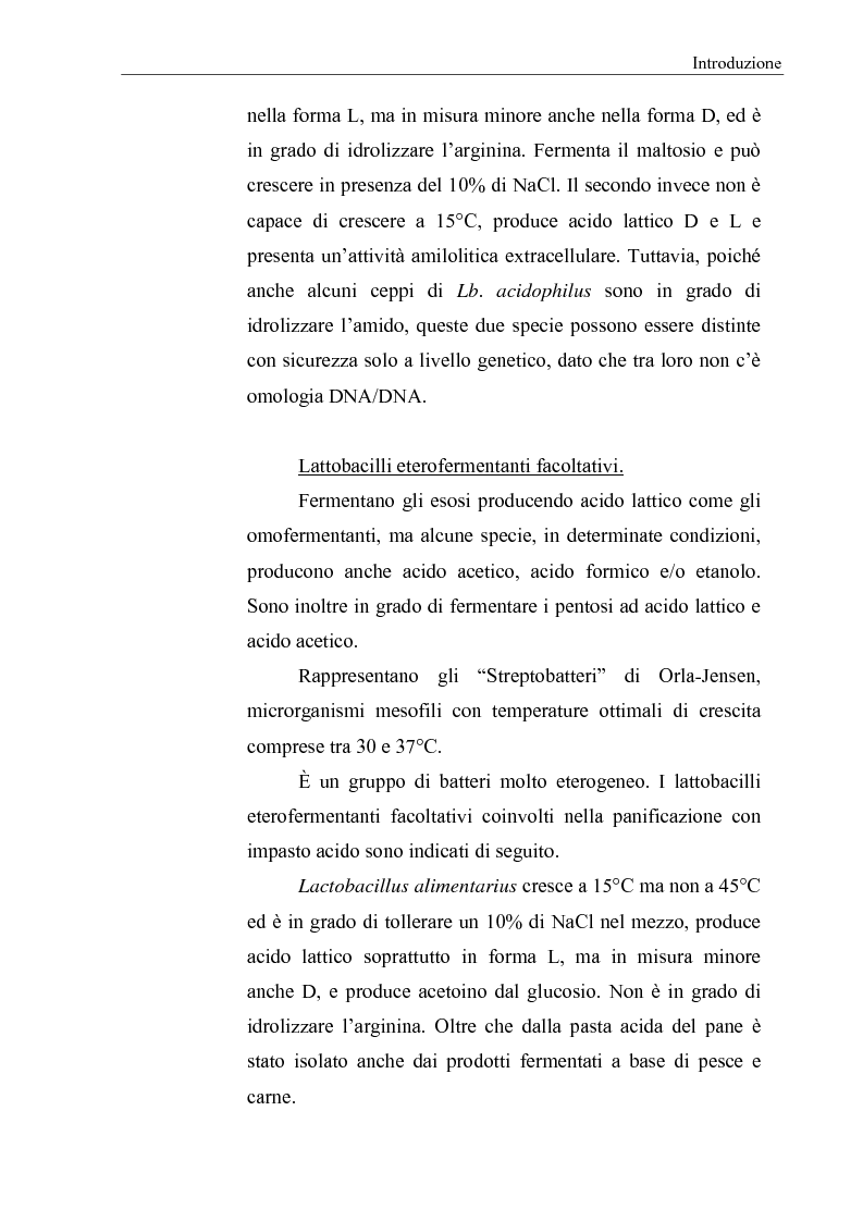 Anteprima della tesi: Selezione di fermenti lattici autoctoni per la panificazione, Pagina 7