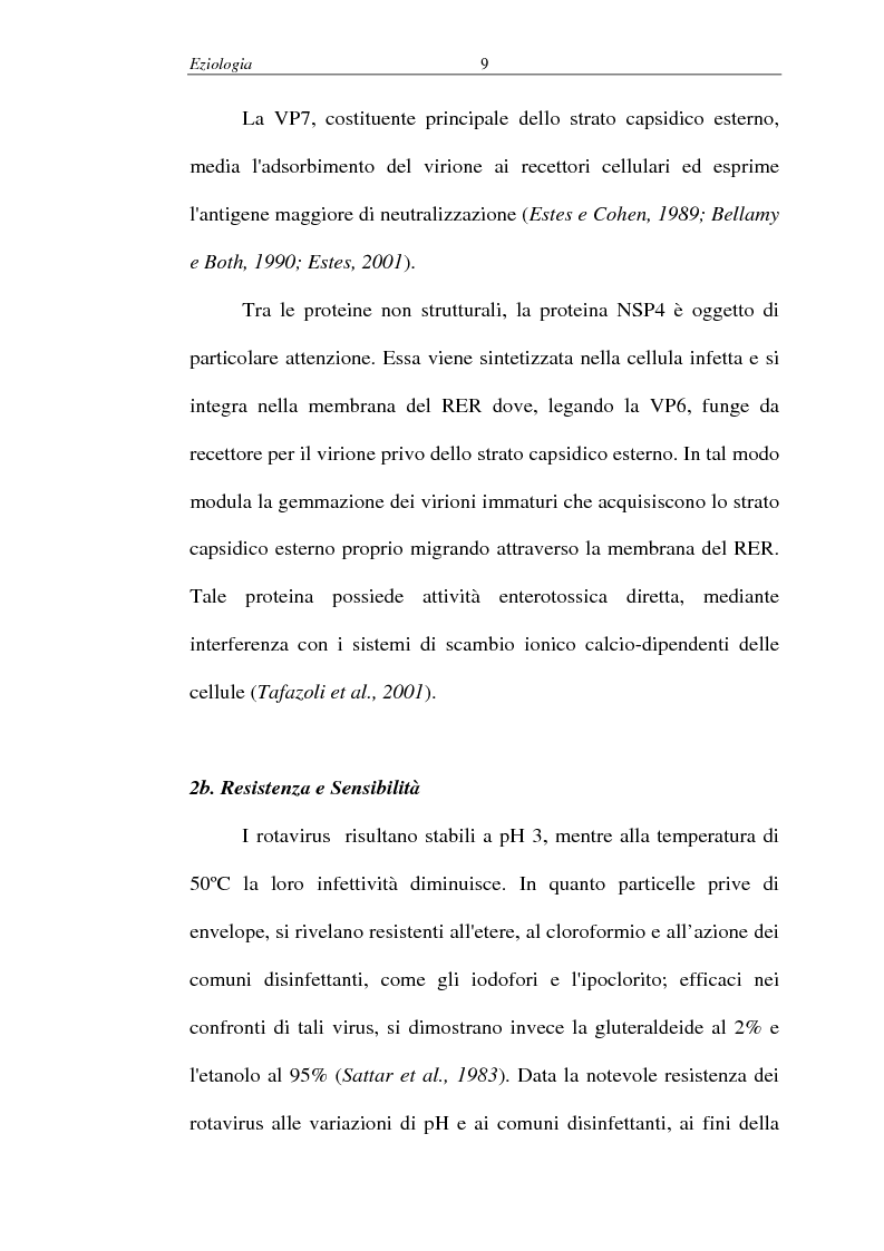 Anteprima della tesi: Malattie infettive virali - Identificazione di un nuovo allele del gene codificante per la proteina VP4 nei rotavirus, Pagina 5