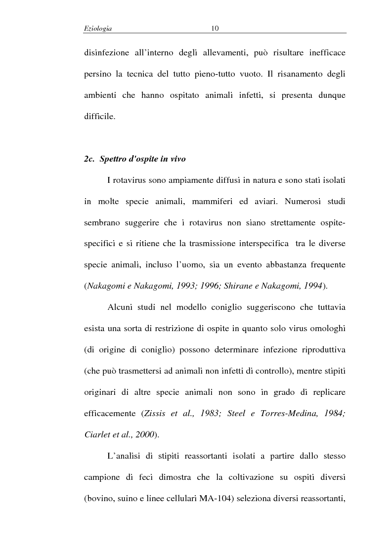 Anteprima della tesi: Malattie infettive virali - Identificazione di un nuovo allele del gene codificante per la proteina VP4 nei rotavirus, Pagina 6