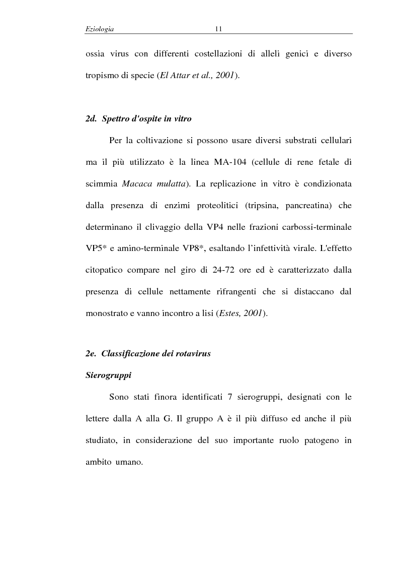 Anteprima della tesi: Malattie infettive virali - Identificazione di un nuovo allele del gene codificante per la proteina VP4 nei rotavirus, Pagina 7