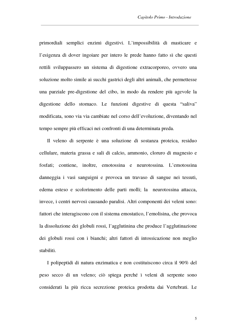 Anteprima della tesi: Caratterizzazione strutturale e funzionale di un enzima fibrinogenolitico dal veleno del serpente Trimeresurus elegans, Pagina 2