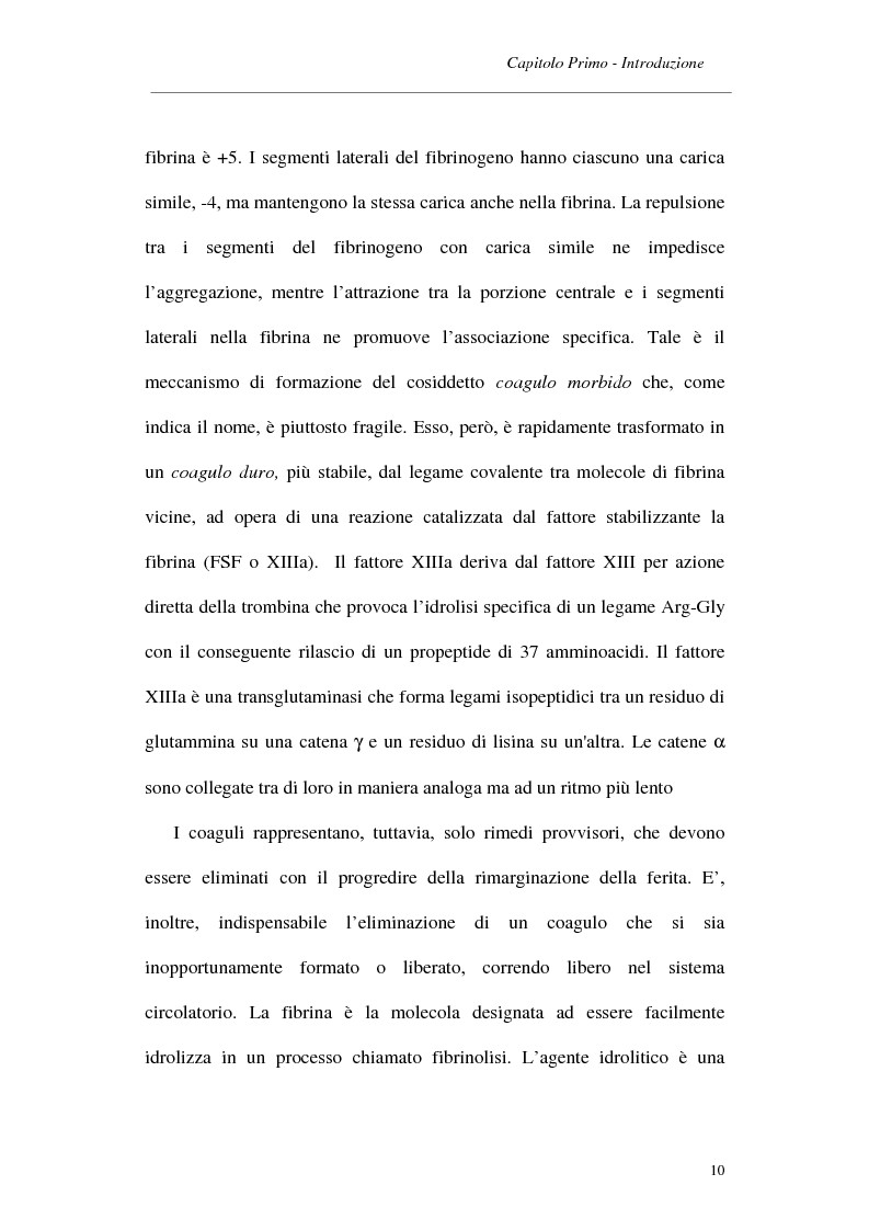 Anteprima della tesi: Caratterizzazione strutturale e funzionale di un enzima fibrinogenolitico dal veleno del serpente Trimeresurus elegans, Pagina 7