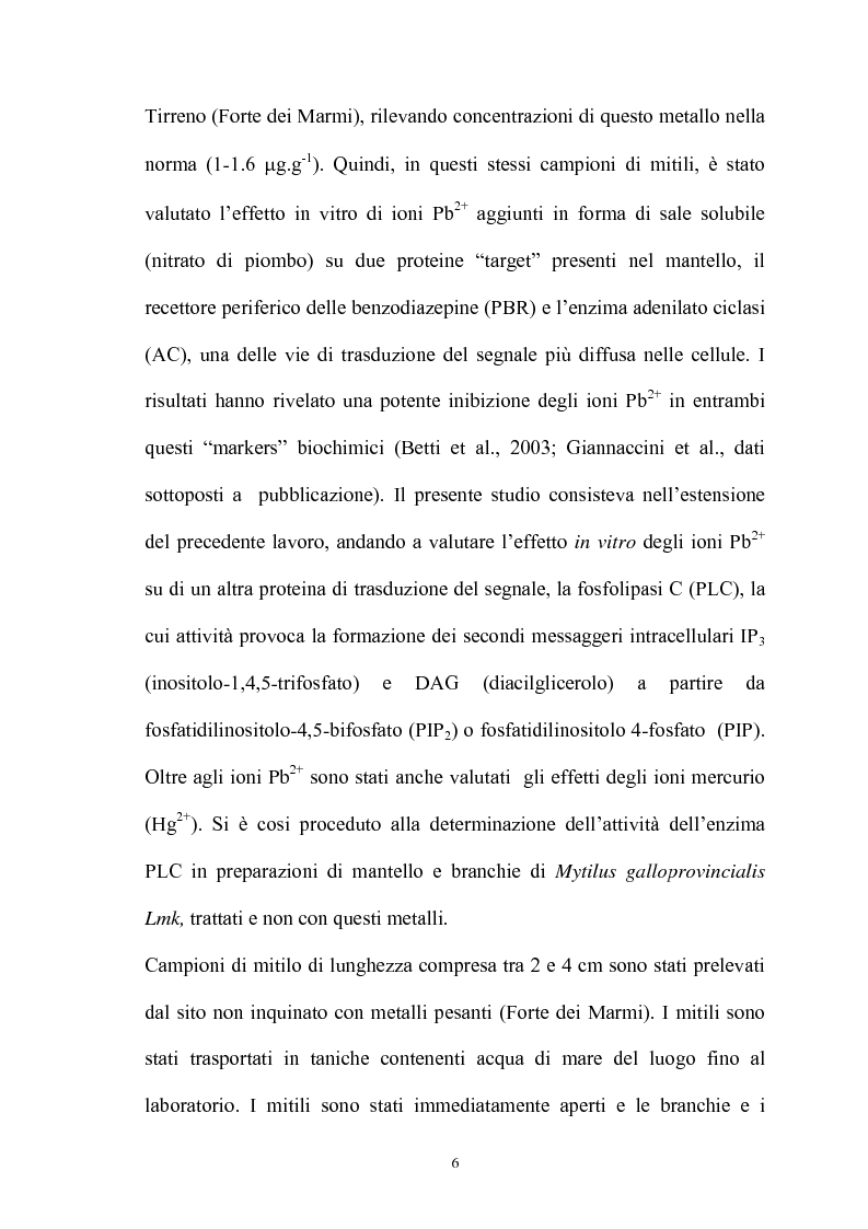 Anteprima della tesi: Effetto in vitro dei metalli pesanti piombo e mercurio sull'attività dell'enzima fosfolipasi C nelle branchie e nel mantello del mollusco marino Mytilus galloprovincialis Lmk, Pagina 6