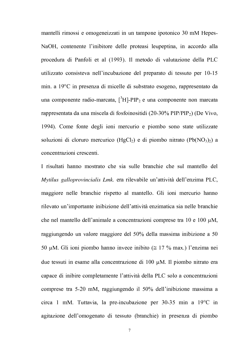 Anteprima della tesi: Effetto in vitro dei metalli pesanti piombo e mercurio sull'attività dell'enzima fosfolipasi C nelle branchie e nel mantello del mollusco marino Mytilus galloprovincialis Lmk, Pagina 7