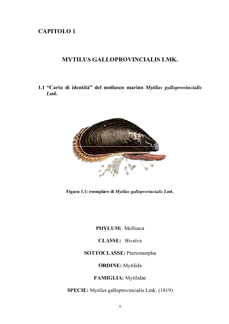 Anteprima della tesi: Effetto in vitro dei metalli pesanti piombo e mercurio sull'attività dell'enzima fosfolipasi C nelle branchie e nel mantello del mollusco marino Mytilus galloprovincialis Lmk, Pagina 9