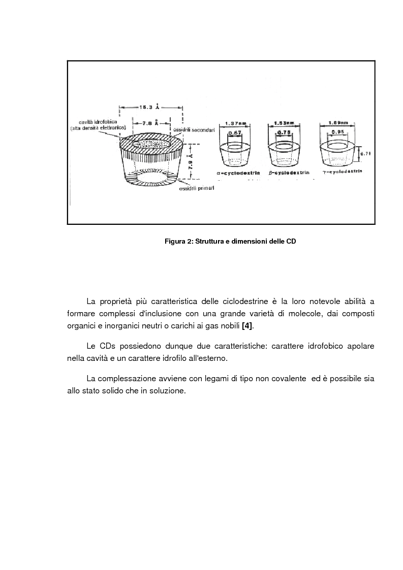 Anteprima della tesi: Caratterizzazione e valutazione delle proprietà complessanti di materiali a base di ciclodestrina, Pagina 5