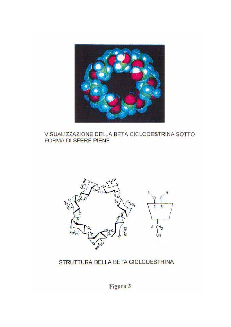 Anteprima della tesi: Caratterizzazione e valutazione delle proprietà complessanti di materiali a base di ciclodestrina, Pagina 6