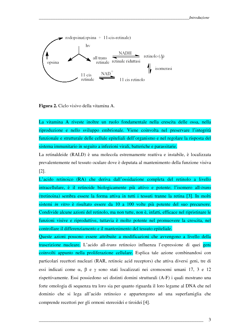 Anteprima della tesi: Studio Esi-Ms di dinamiche conformazionali metanolo-indotte di proteine adibite al trasporto di retinolo e acido retinoico (CrbpI, CrbpII e Crabp) mediante scambio idrogeno e deuterio, Pagina 2