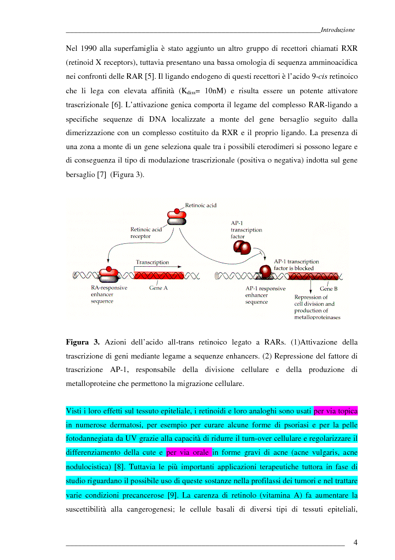 Anteprima della tesi: Studio Esi-Ms di dinamiche conformazionali metanolo-indotte di proteine adibite al trasporto di retinolo e acido retinoico (CrbpI, CrbpII e Crabp) mediante scambio idrogeno e deuterio, Pagina 3