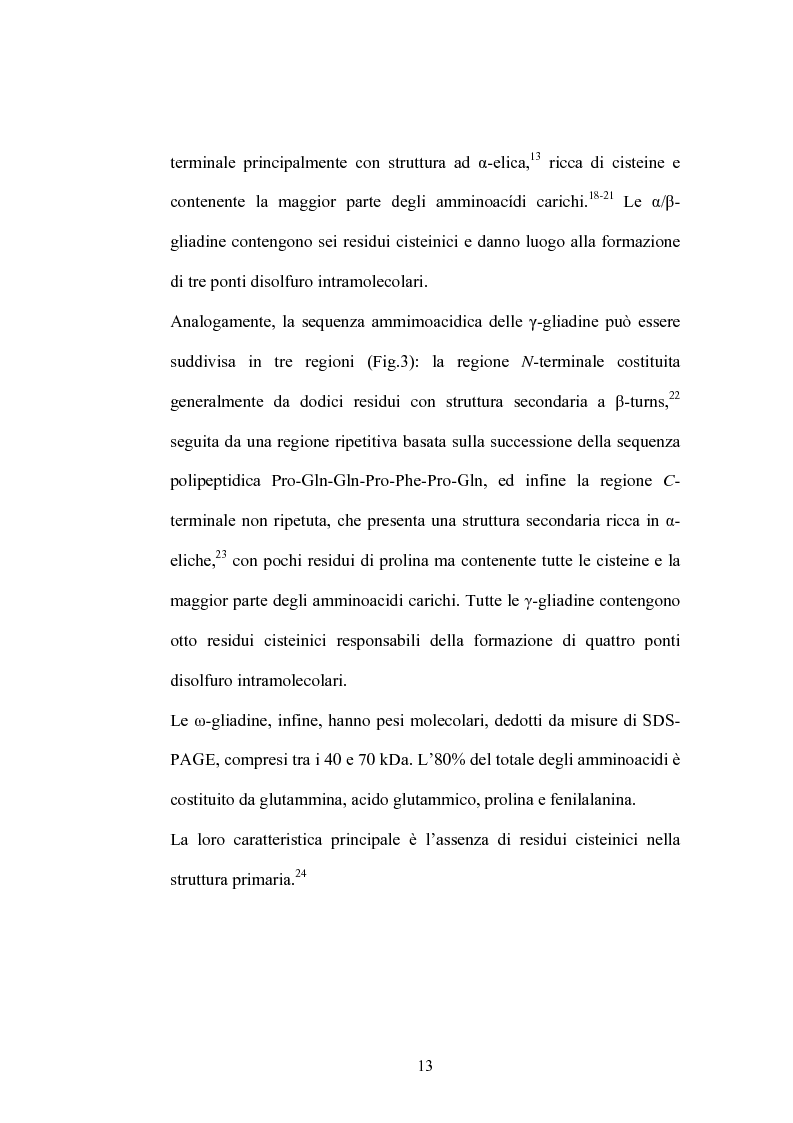 Anteprima della tesi: Studi di proteomica sulla cultivar di grano duro Simeto, Pagina 11