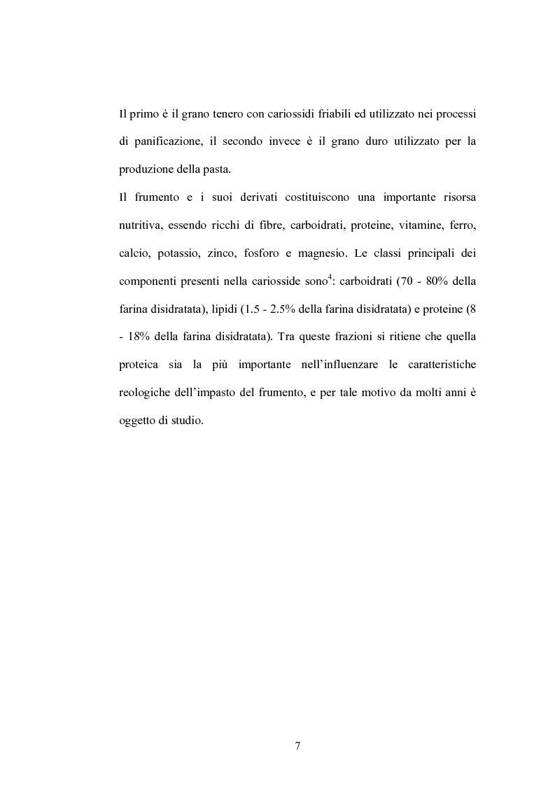 Anteprima della tesi: Studi di proteomica sulla cultivar di grano duro Simeto, Pagina 5