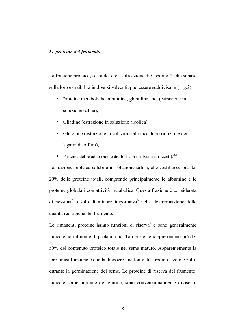Anteprima della tesi: Studi di proteomica sulla cultivar di grano duro Simeto, Pagina 6