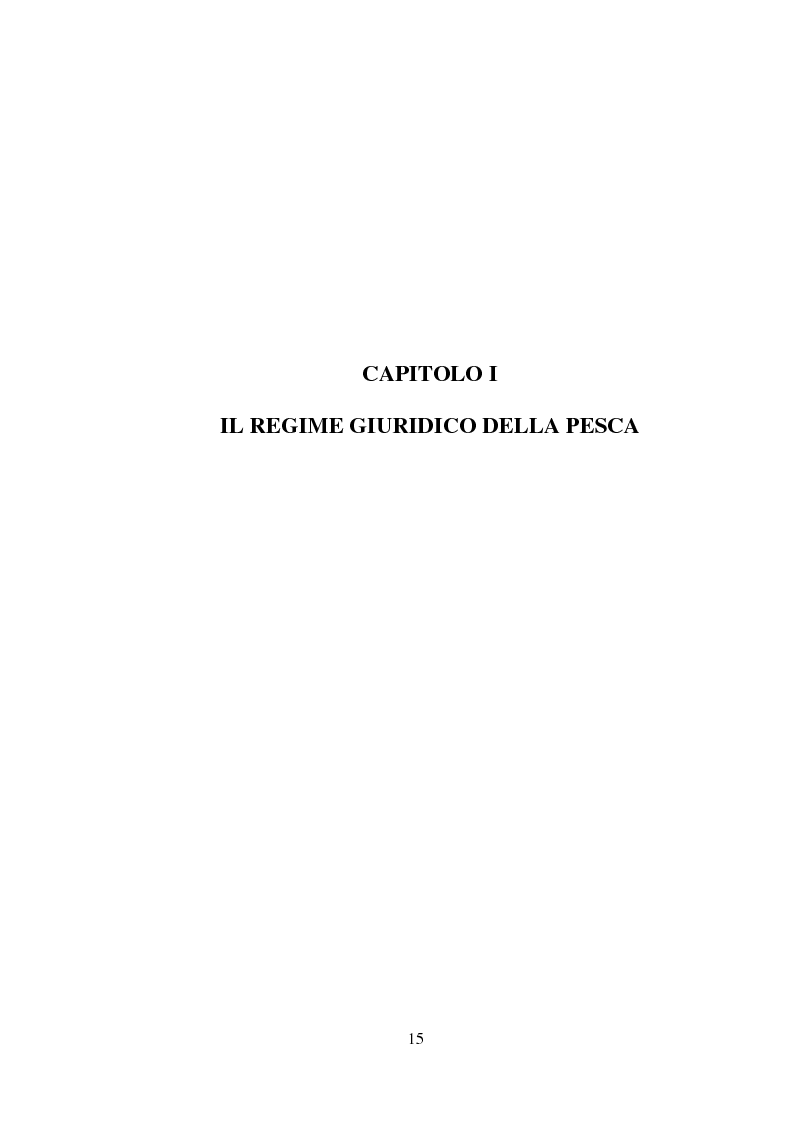 Anteprima della tesi: Il regime giuridico della pesca, Pagina 6