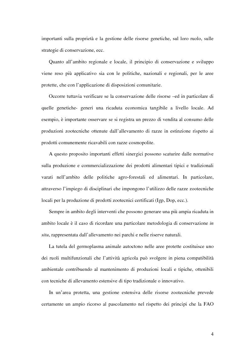 Anteprima della tesi: Aspetti economici della tutela delle razze zootecniche ragusane a rischio di estinzione, Pagina 4