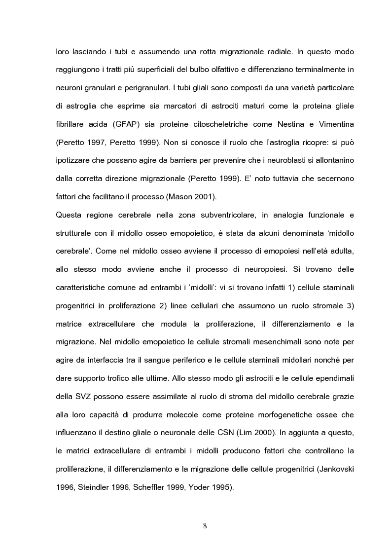 Anteprima della tesi: Differenziazione neuronale di cellule mononucleate umane derivate da sangue periferico, Pagina 6