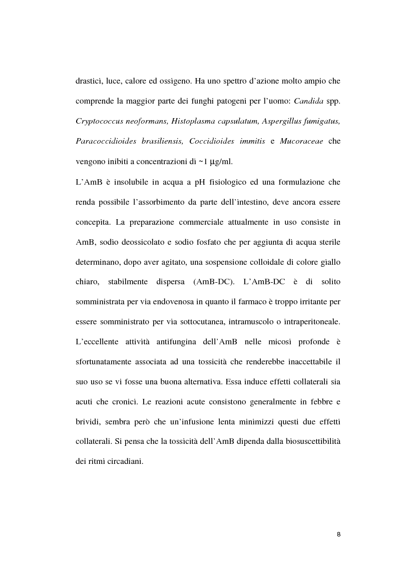 Anteprima della tesi: Derivati azolici dell'1,4-benzotiazina come agenti antifungini, Pagina 6