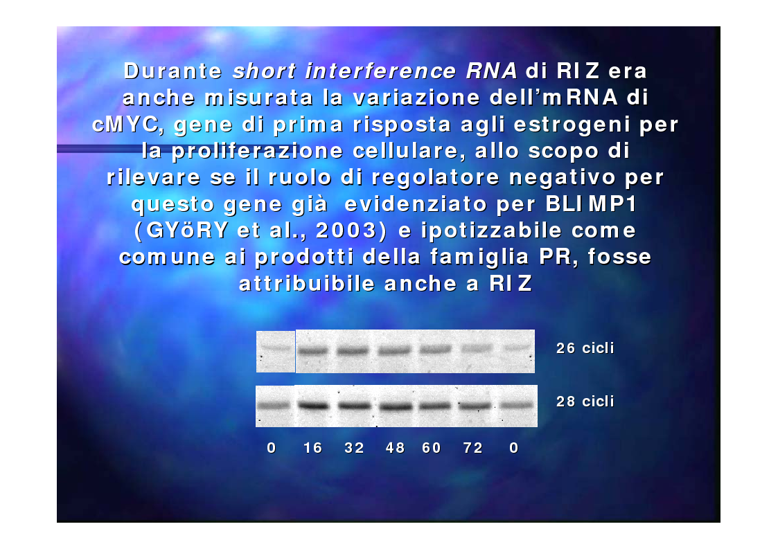 Anteprima della tesi: Prodotti del gene RIZ/PRDM2 nella proliferazione cellulare e differenziamento in vitro, Pagina 12