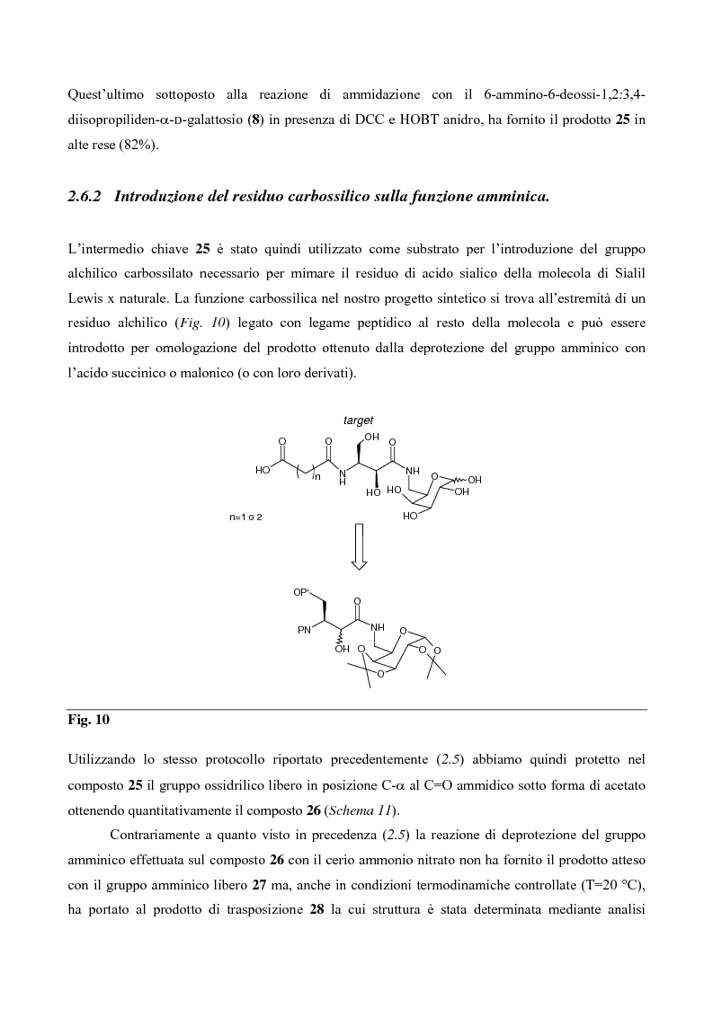 Anteprima della tesi: Sintesi di mimici del Sialil Lewis X, Pagina 11