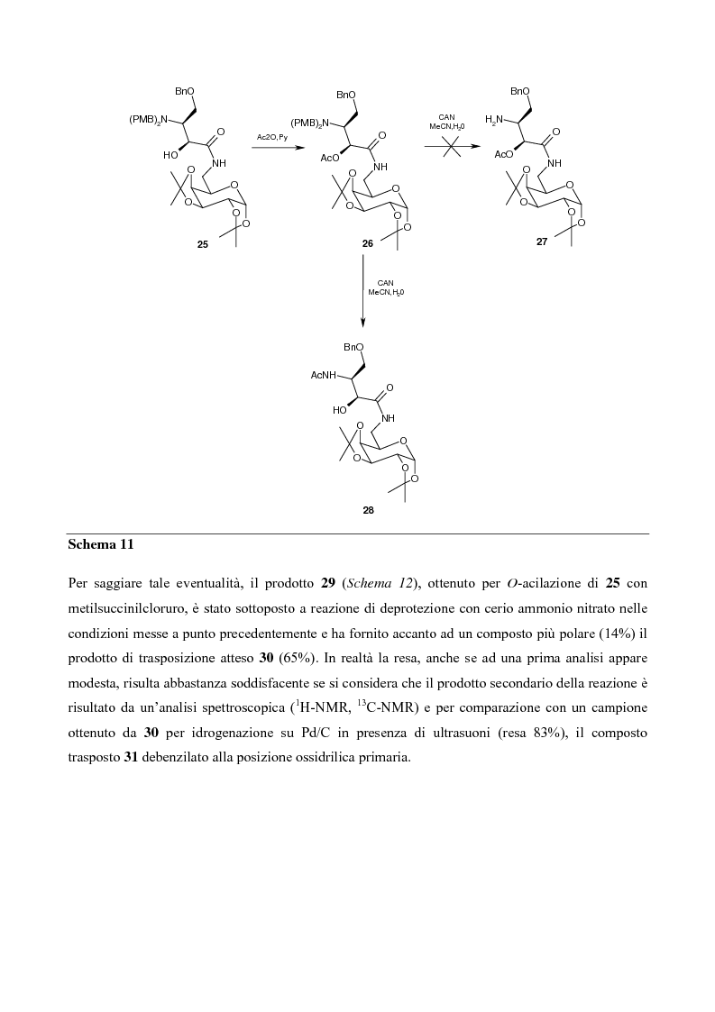 Anteprima della tesi: Sintesi di mimici del Sialil Lewis X, Pagina 13