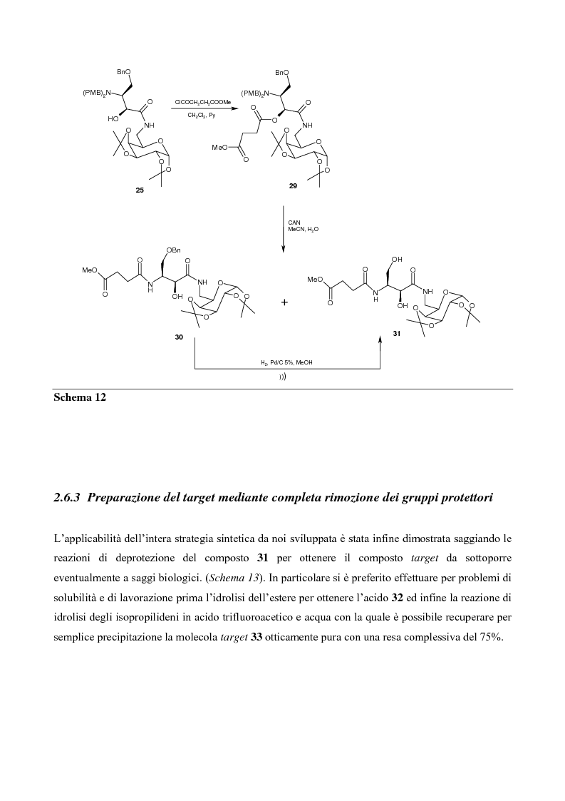Anteprima della tesi: Sintesi di mimici del Sialil Lewis X, Pagina 14
