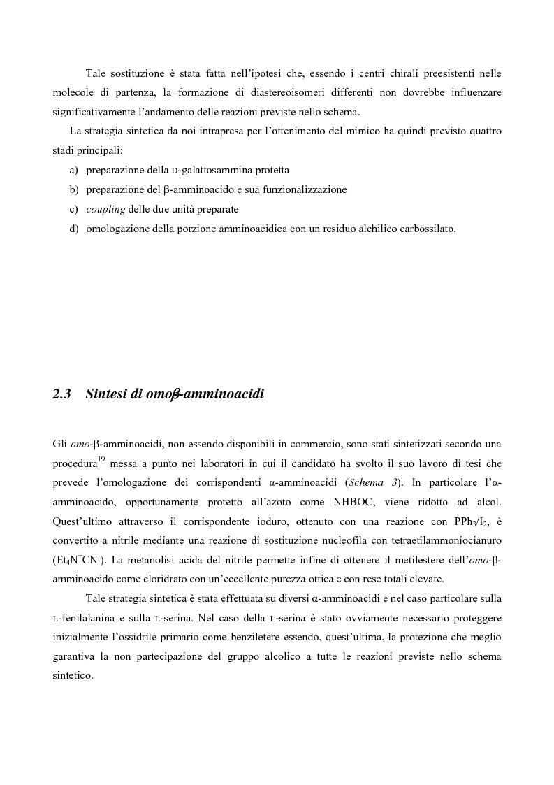 Anteprima della tesi: Sintesi di mimici del Sialil Lewis X, Pagina 3