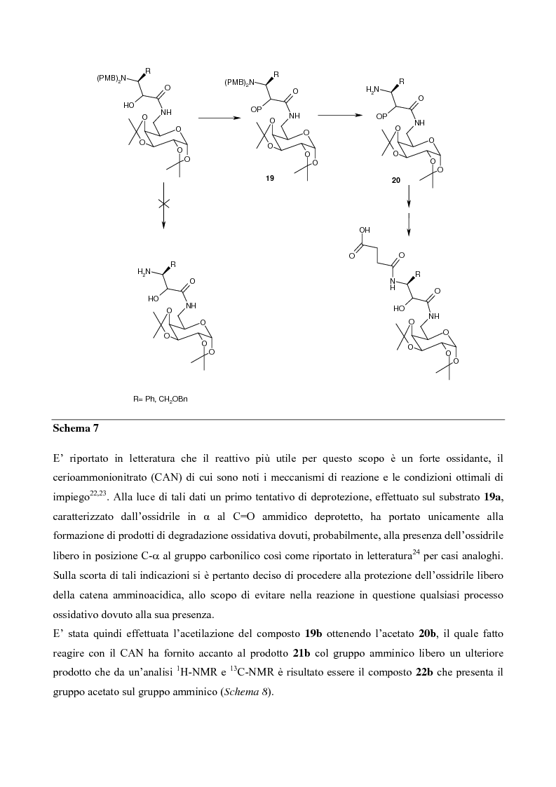 Anteprima della tesi: Sintesi di mimici del Sialil Lewis X, Pagina 8
