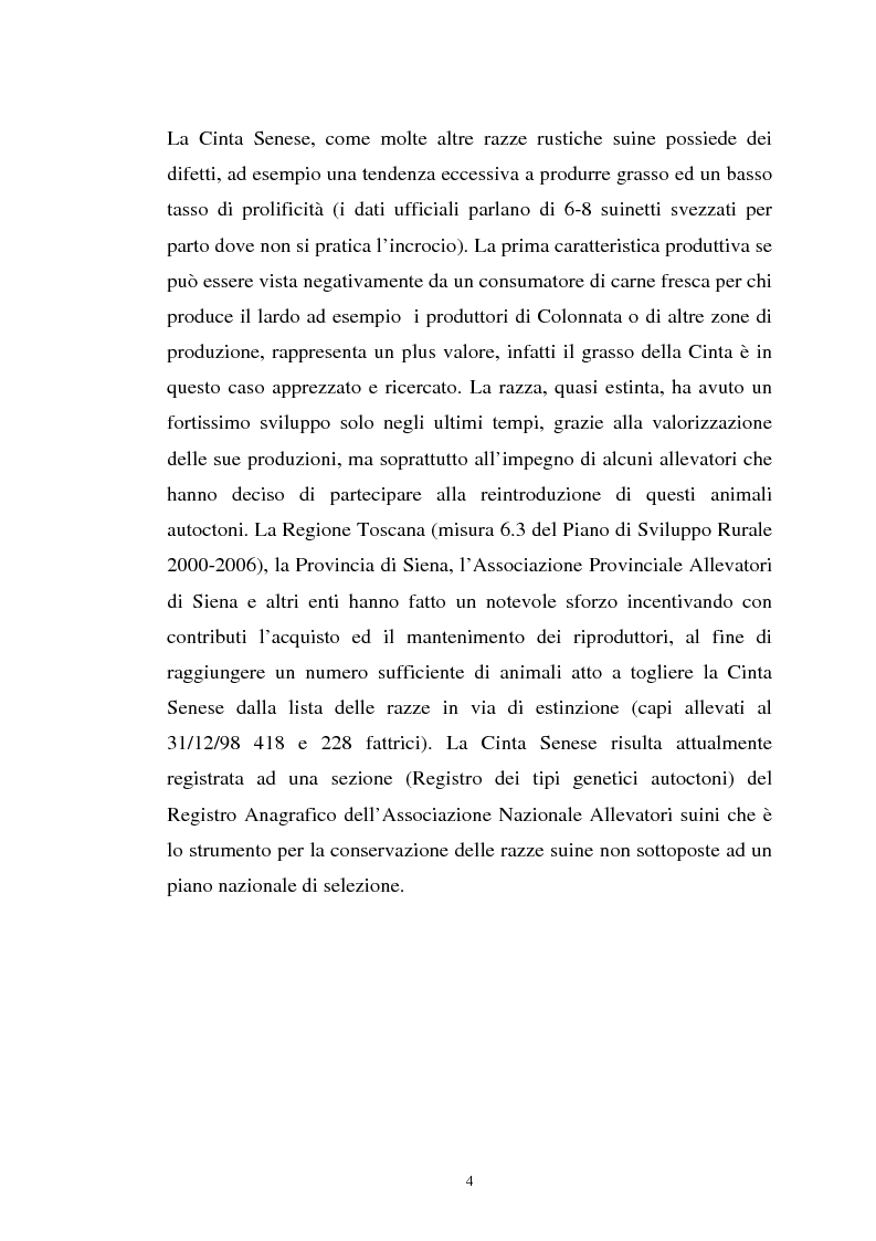 Anteprima della tesi: Come il diverso livello proteico della dieta influenza le caratteristiche chimico fisiche della carne suina in animali cinta senese, Pagina 4